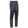 Whales grey / black
