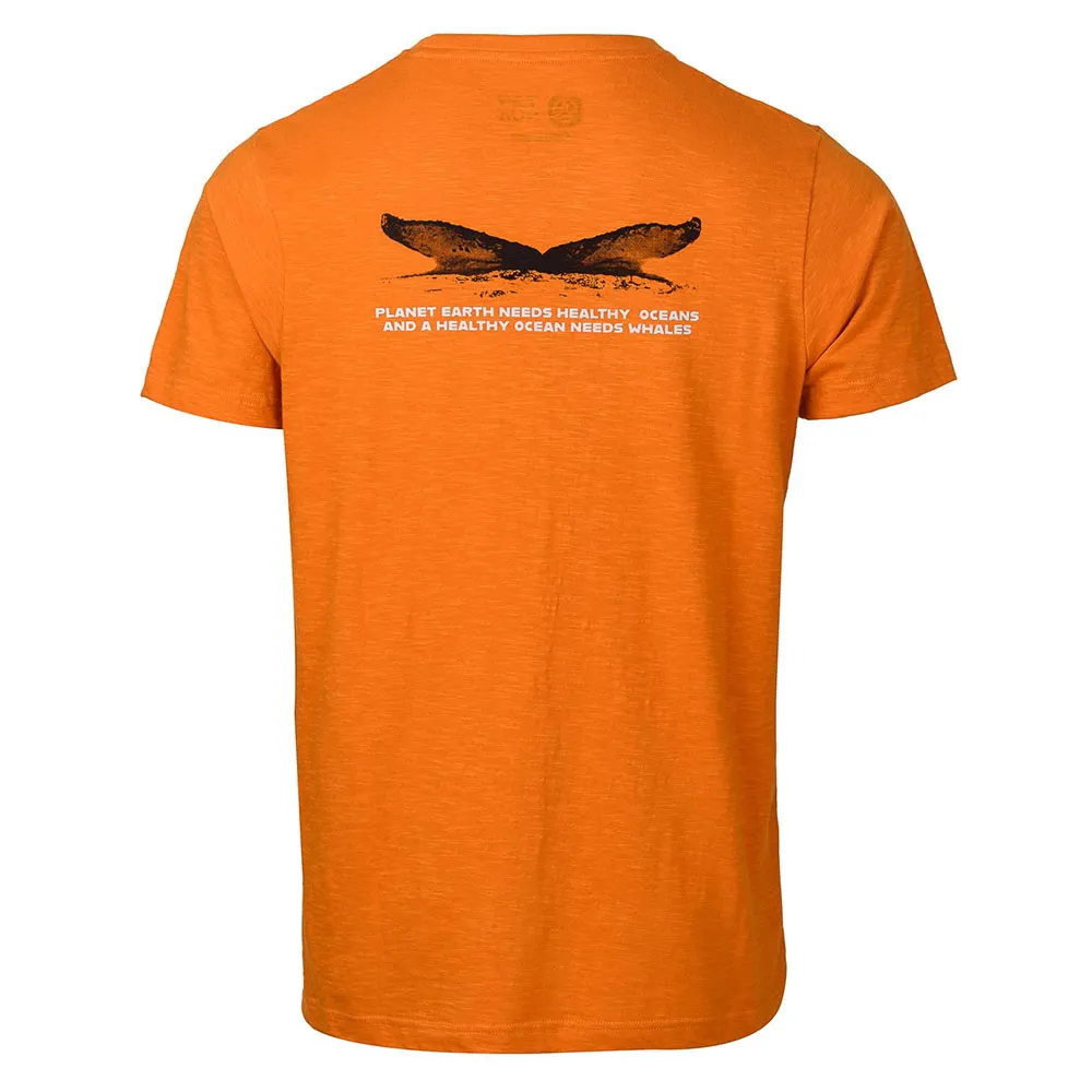 Ternua Humpback Kurzarm-t-shirt Ternua Humpback Kurzarm-t-shirt