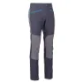 Whales grey 1