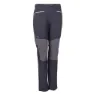 Whales grey 2