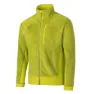 Citrus green