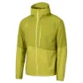 Citrus green 1