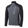 Whales grey