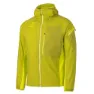 Citrus green
