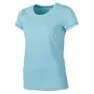 Tanager turquoise