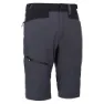 Whales grey