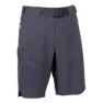 Whales grey