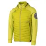 Citrus green 1