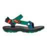 Blue coral mult