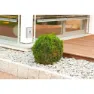 Tfa Dostmann 35.1135.02 Casa Wetterstation, One size, EU Plug 220V
