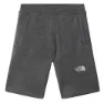 The North Face Fleece Kurze Hose, Medium grey heather, XS