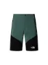 The North Face Herren Short Felik Slim Tapered