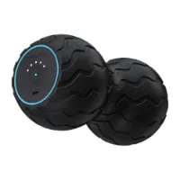 Theragun Wave Duo Massageball Theragun Wave Duo Massageball