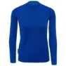 Skydiver / blue