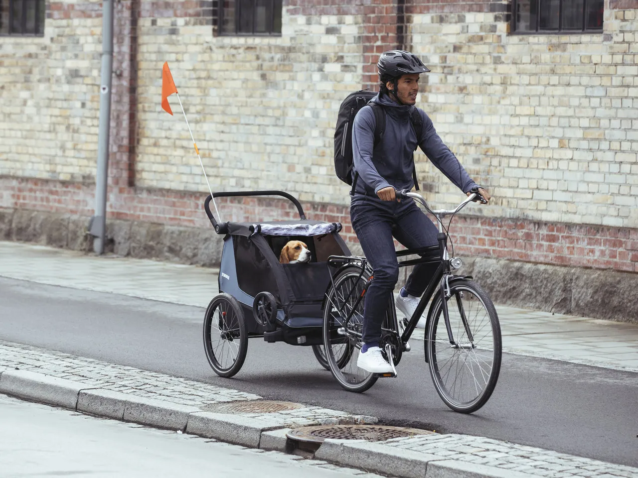 Thule Courier Kinderanhänger, Blau, one_size Thule Courier Kinderanhänger, Blau, one_size