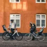 Thule Yepp 2 Maxi Kindersitz Für Fahrräder Refurbished