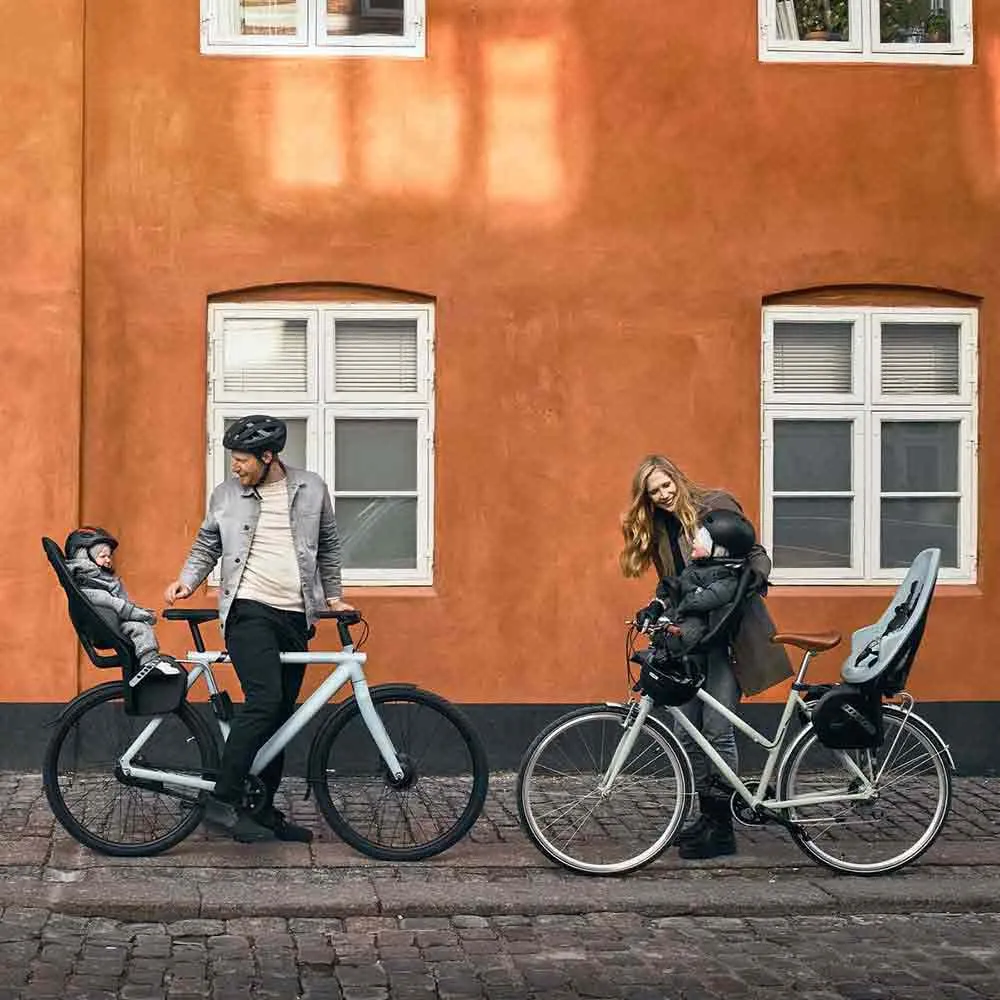 Thule Yepp 2 Mini Kinderfahrradsitz Mit Lenker