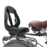 Thule Yepp Junior Kindersitz Für Fahrrad Hinten