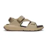 Light brown webbing