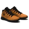 Wheat 3