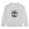 Chine gray