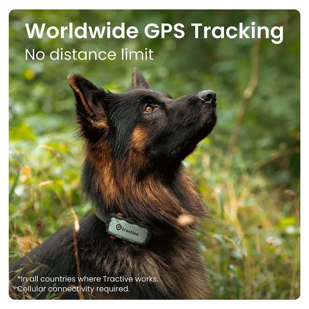 Tractive Adventure Dog Xl Gps-lokalisierer, Green, One Size Tractive Adventure Dog Xl Gps-lokalisierer, Green, One Size