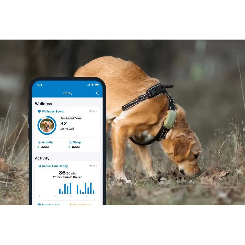 Tractive Dog Xl Gps-lokalisierer, Green, One Size Tractive Dog Xl Gps-lokalisierer, Green, One Size