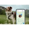 Tractive Dog Xl Gps-lokalisierer, Green, One Size