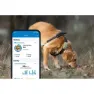 Tractive Dog Xl Gps-lokalisierer, Green, One Size