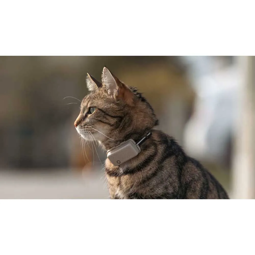 Tractive Mini Cat Activity Gps-lokalisierer
