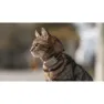 Tractive Mini Cat Activity Gps-lokalisierer