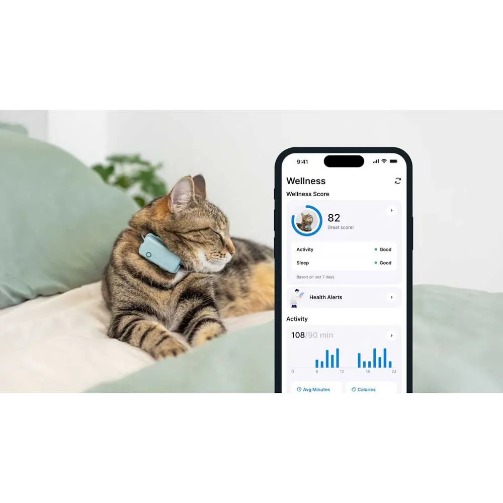 Tractive Mini Cat Activity Gps-lokalisierer