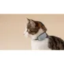Tractive Mini Cat Activity Gps-lokalisierer