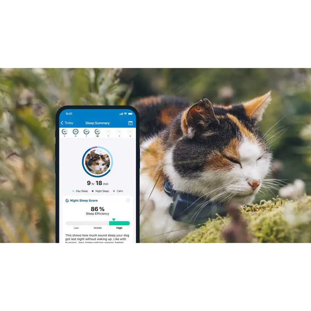 Tractive Mini Gps-lokalisierer, Blue, One Size