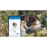 Tractive Mini Gps-lokalisierer, Blue, One Size