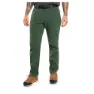 Kombu green