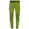 Green / dark green