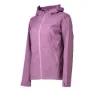 Argyle purple