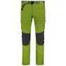 Green / anthracite