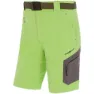 Parrot green
