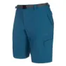 Legion blue