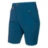 Legion blue