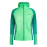 Green / dark green