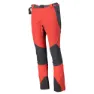 Red / anthracite