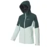 Mist green