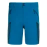 Blue / navy