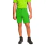 Green / dark green