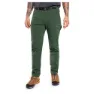 Kombu green