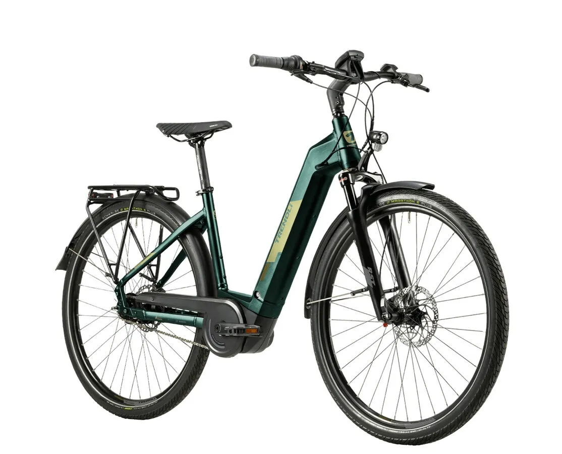 Trenoli TANARO Classico Active Plus silver green glänzend 28" 625 Wh Wave Trenoli TANARO Classico Active Plus silver green glänzend 28" 625 Wh Wave