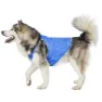 Trespass Alaska Cooling Hundejacke